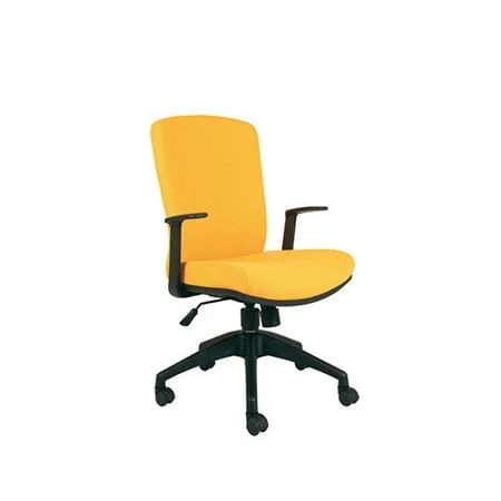 Chairman Absolute MC-2101