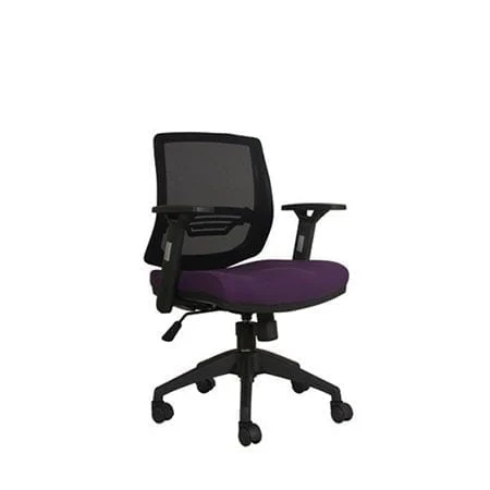 Savello Xilo LT1